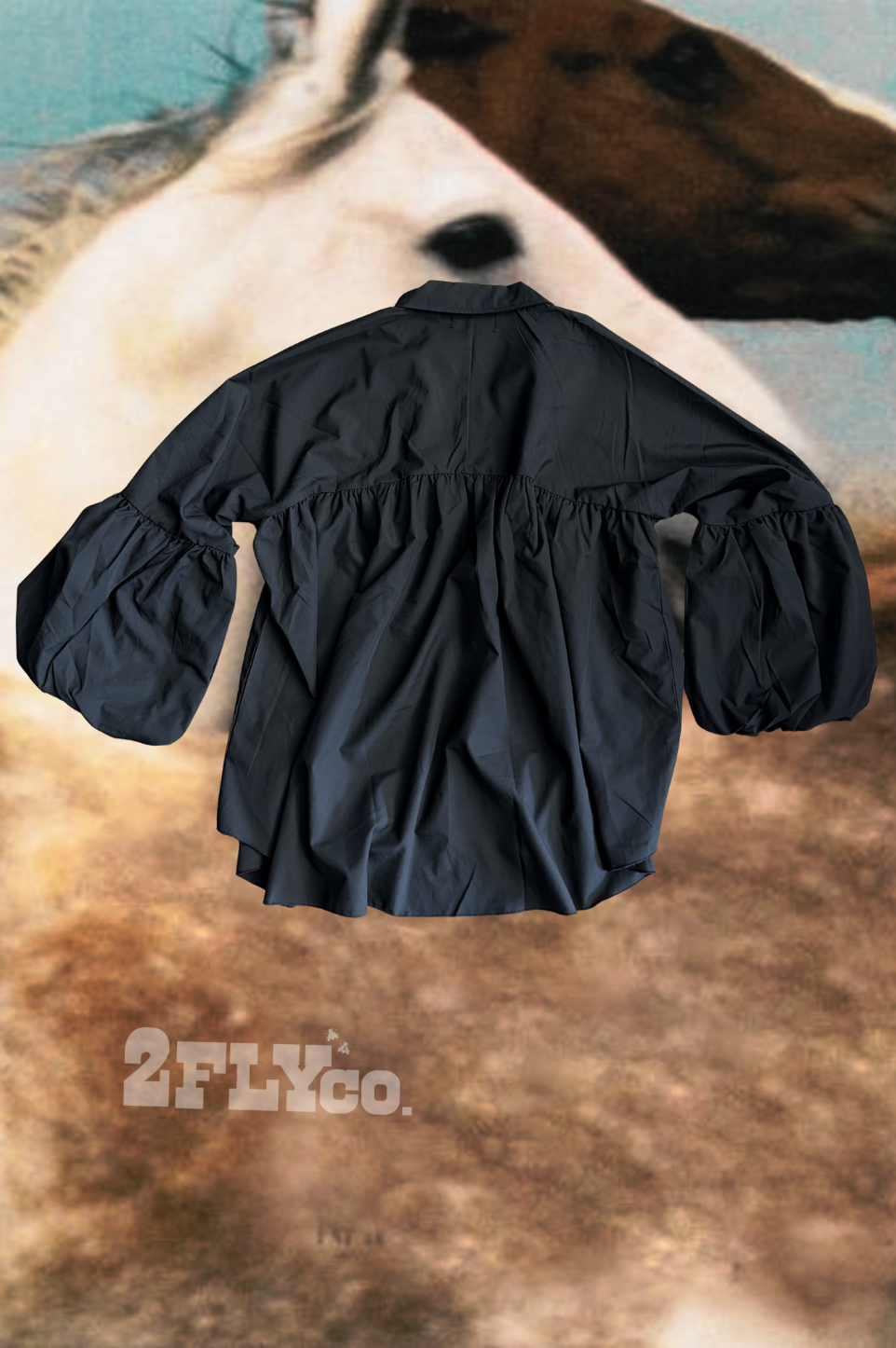 2Flygo The Brazos Top